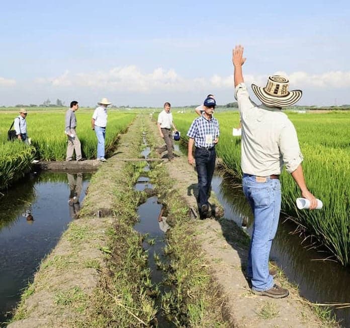 gE Blog Series: Agriculture Industry Part 3 - Latin American Outlook