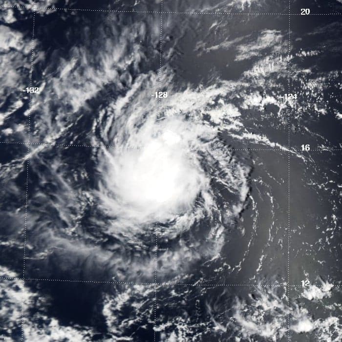 The Economic Impact of Tropical Storms Image