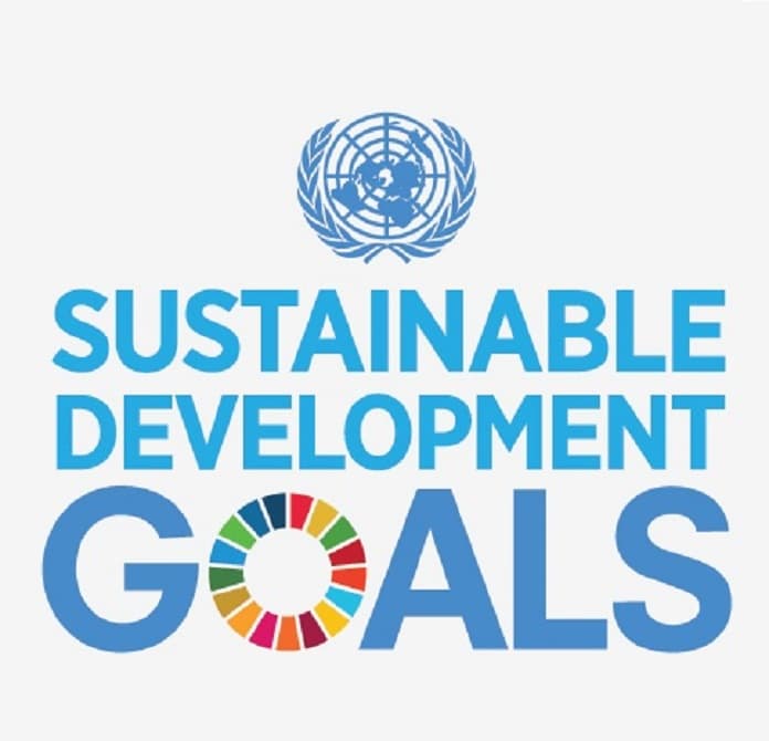 United Nations' Sustainable Development Goals and Companies' Business Performance