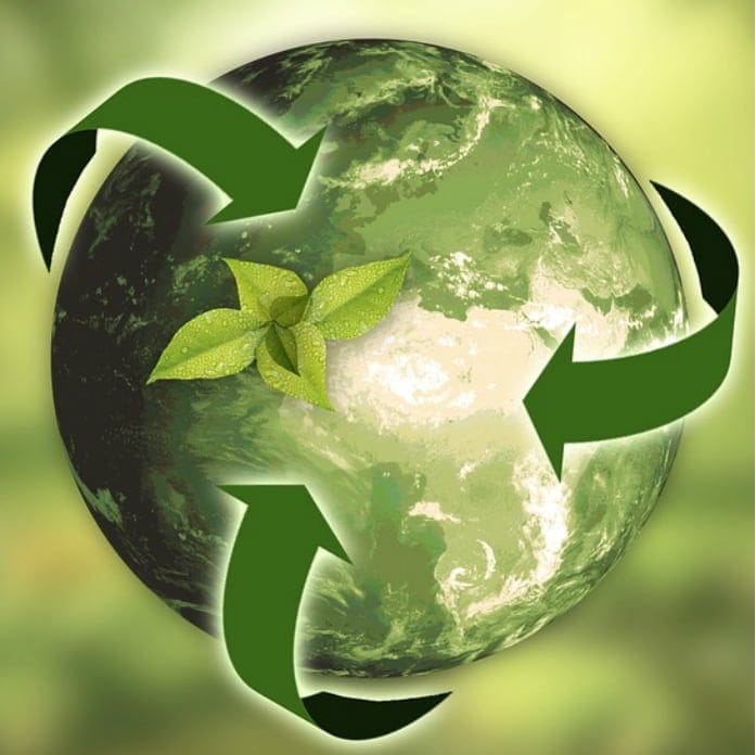 Sustainability and Waste Management will Play a Key Role in Driving International Business and Society Image