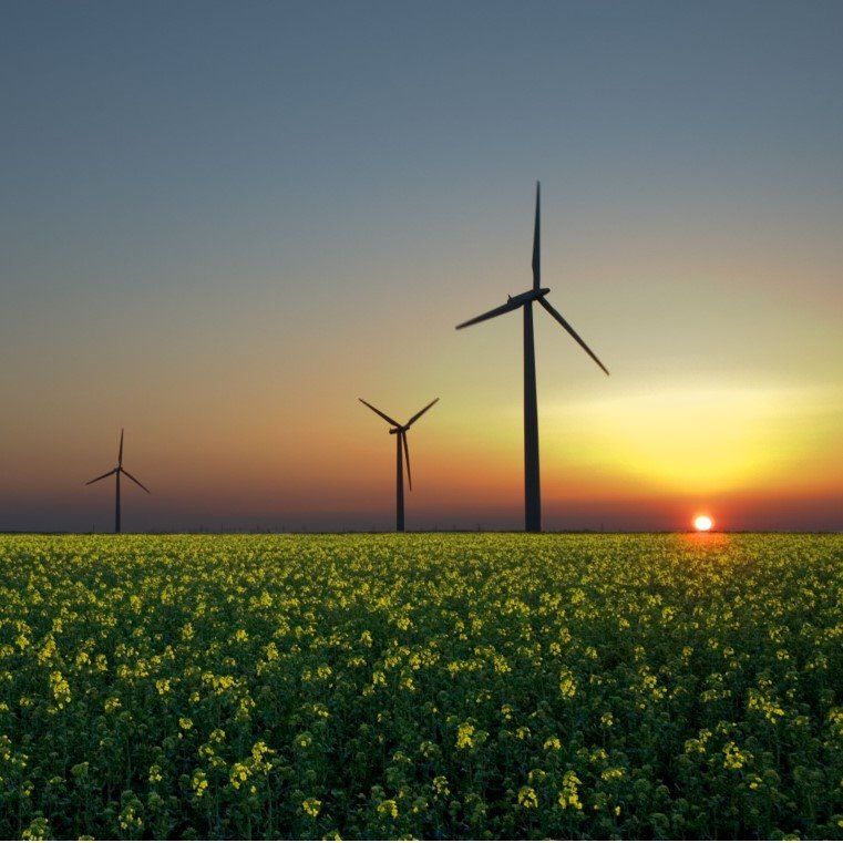 The Revolution of Renewable Energy 