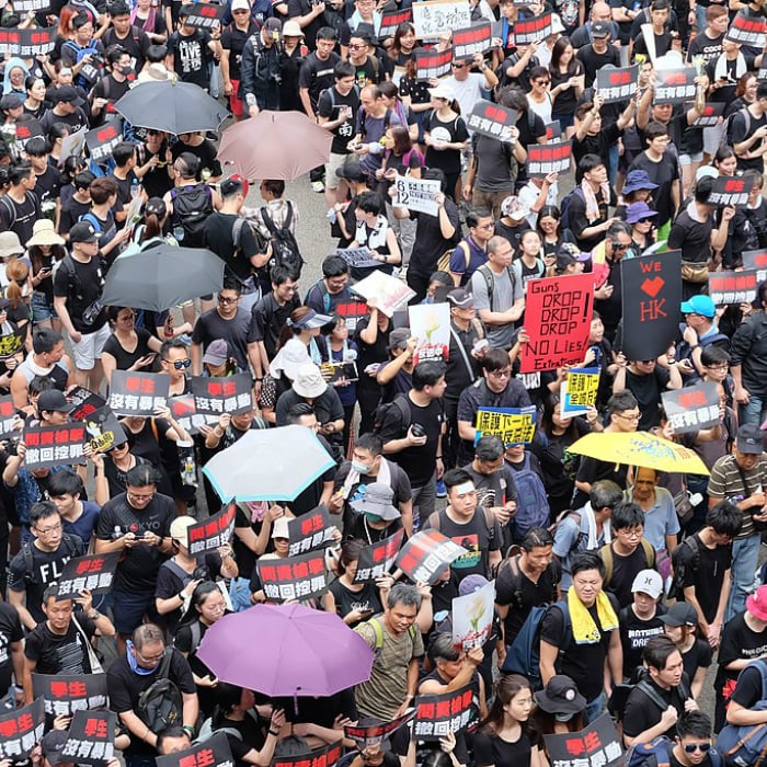 Hong Kong Protests and their Potential Consequences 