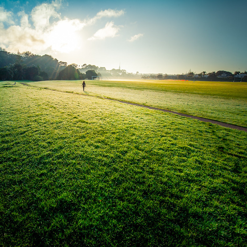 Building a More Sustainable Future—Which Companies Top the Charts? Image