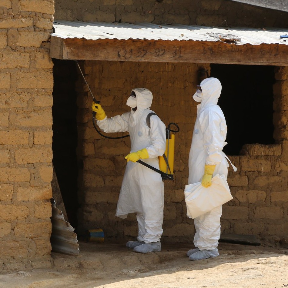 The Economics of the Ebola Outbreak Image