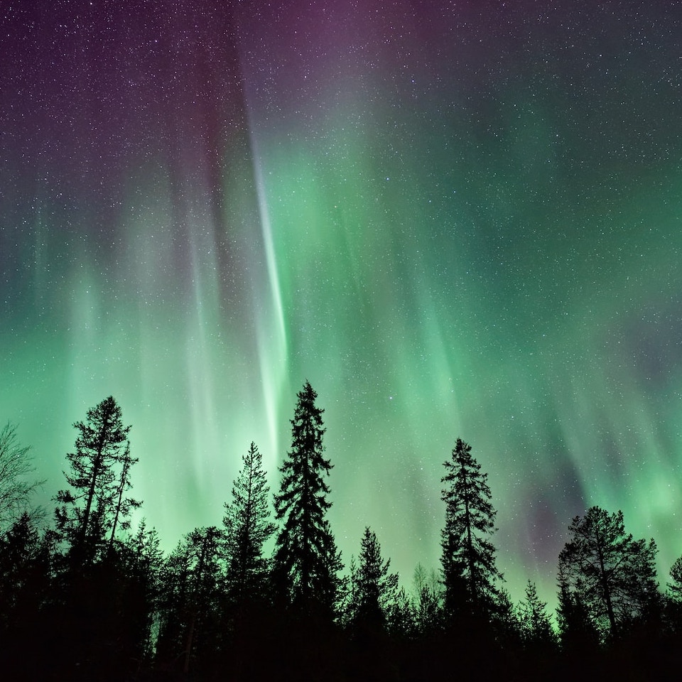 The Northern Lights Tourism Industry Image