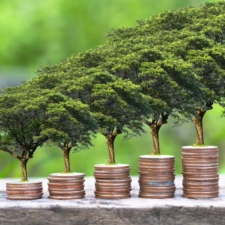 The rise of green finance in emerging markets Image